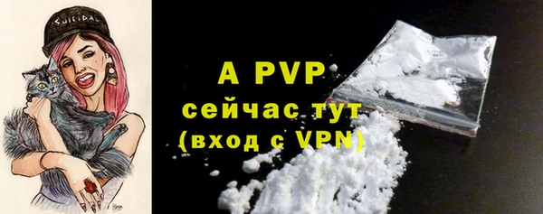 стаф Верхний Тагил