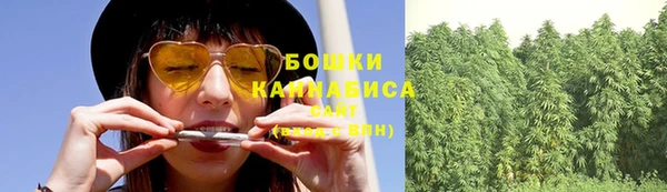 стаф Верхний Тагил