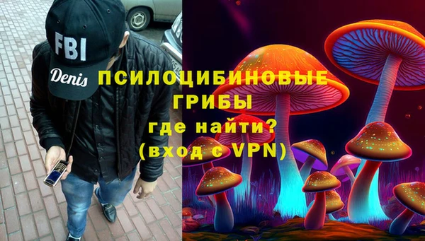 стаф Верхний Тагил