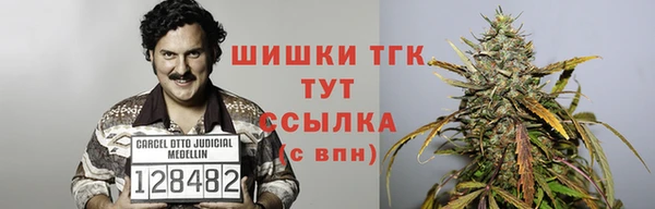 стаф Верхний Тагил