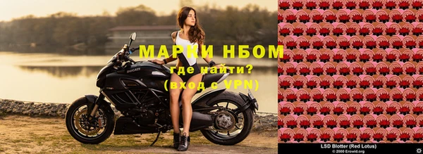стаф Верхний Тагил