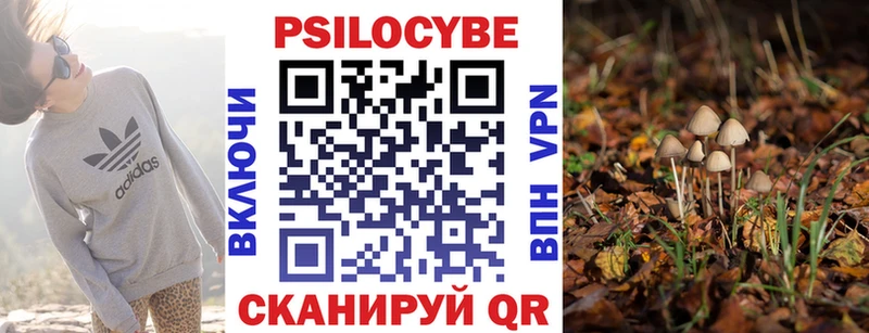 Купить  Лесной  Галлюциногенные грибы Cubensis 